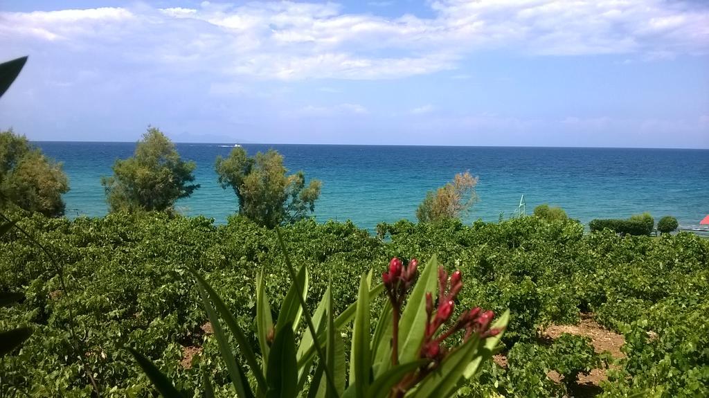 Villa Antonis Deluxe Apartments アモウディ エクステリア 写真