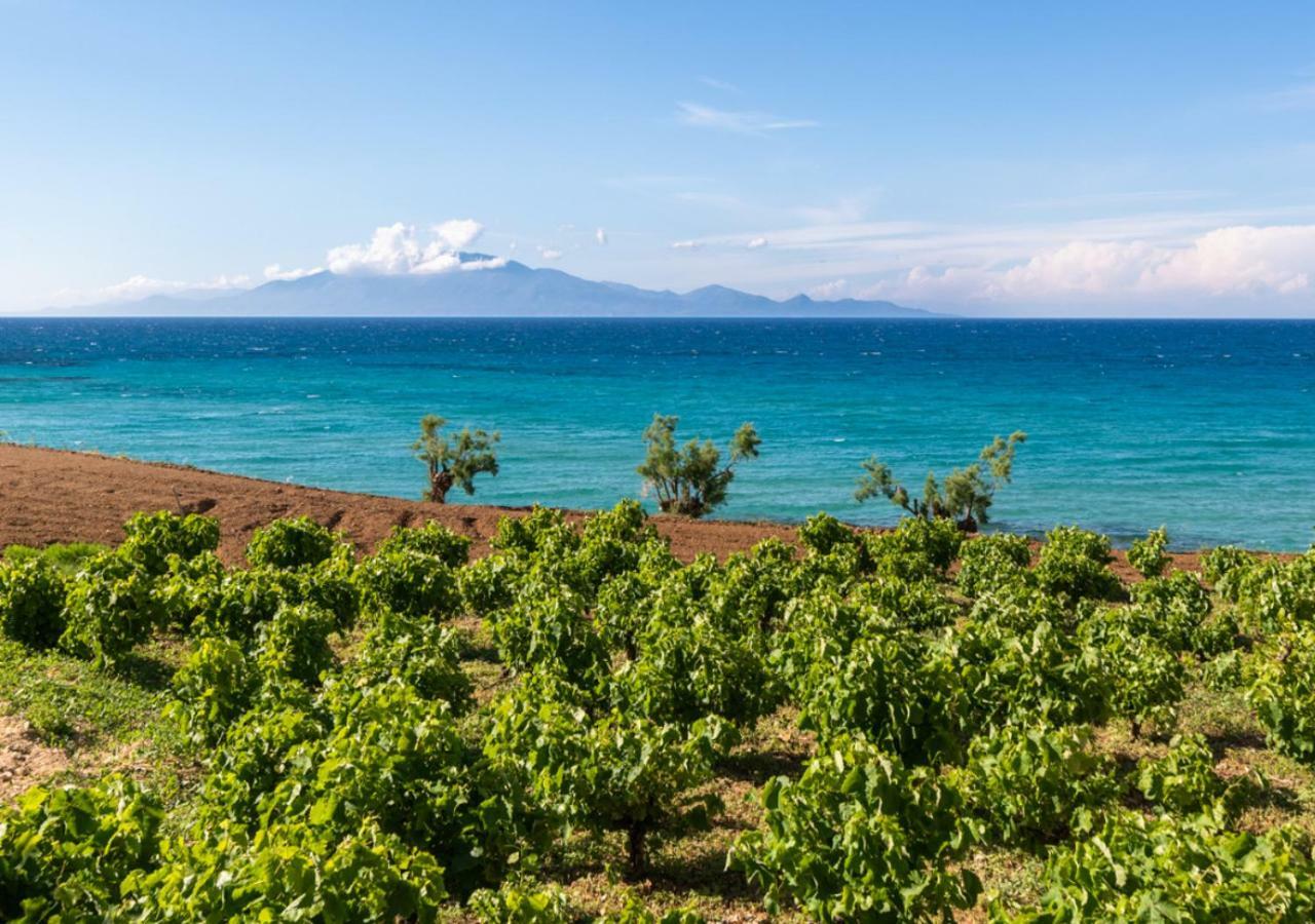 Villa Antonis Deluxe Apartments アモウディ エクステリア 写真